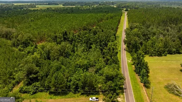 Cobbtown, GA 30420,0 Canoochee RD
