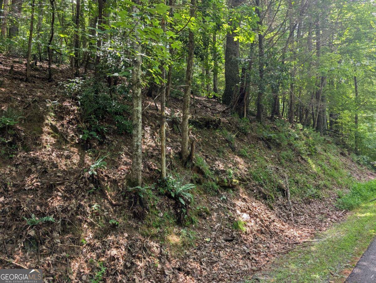 LOT P1 Goldmine DR, Ellijay, GA 30536