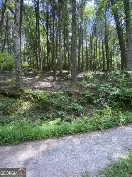 HEMLOCK Hemlock TRL, Blue Ridge, GA 30513