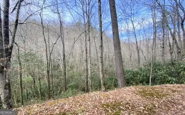 Hayesville, NC 28904,#22 Chairmaker Drive