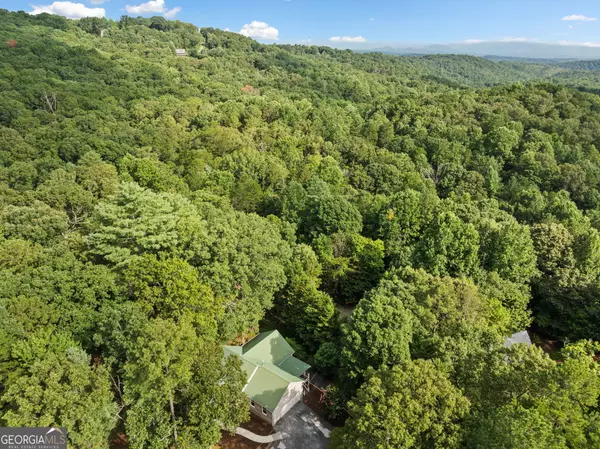 Ellijay, GA 30536,775 Bernhardt RD