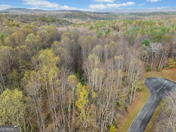 Ellijay, GA 30536,LOT 14 Highpoint Ridge CT #14