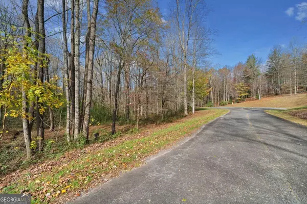 Ellijay, GA 30536,LOT 14 Highpoint Ridge CT #14