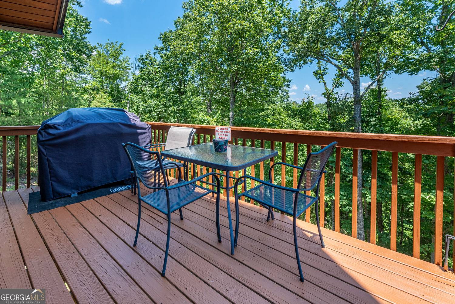 Ranger, GA 30734,1328 Birch Lane LN