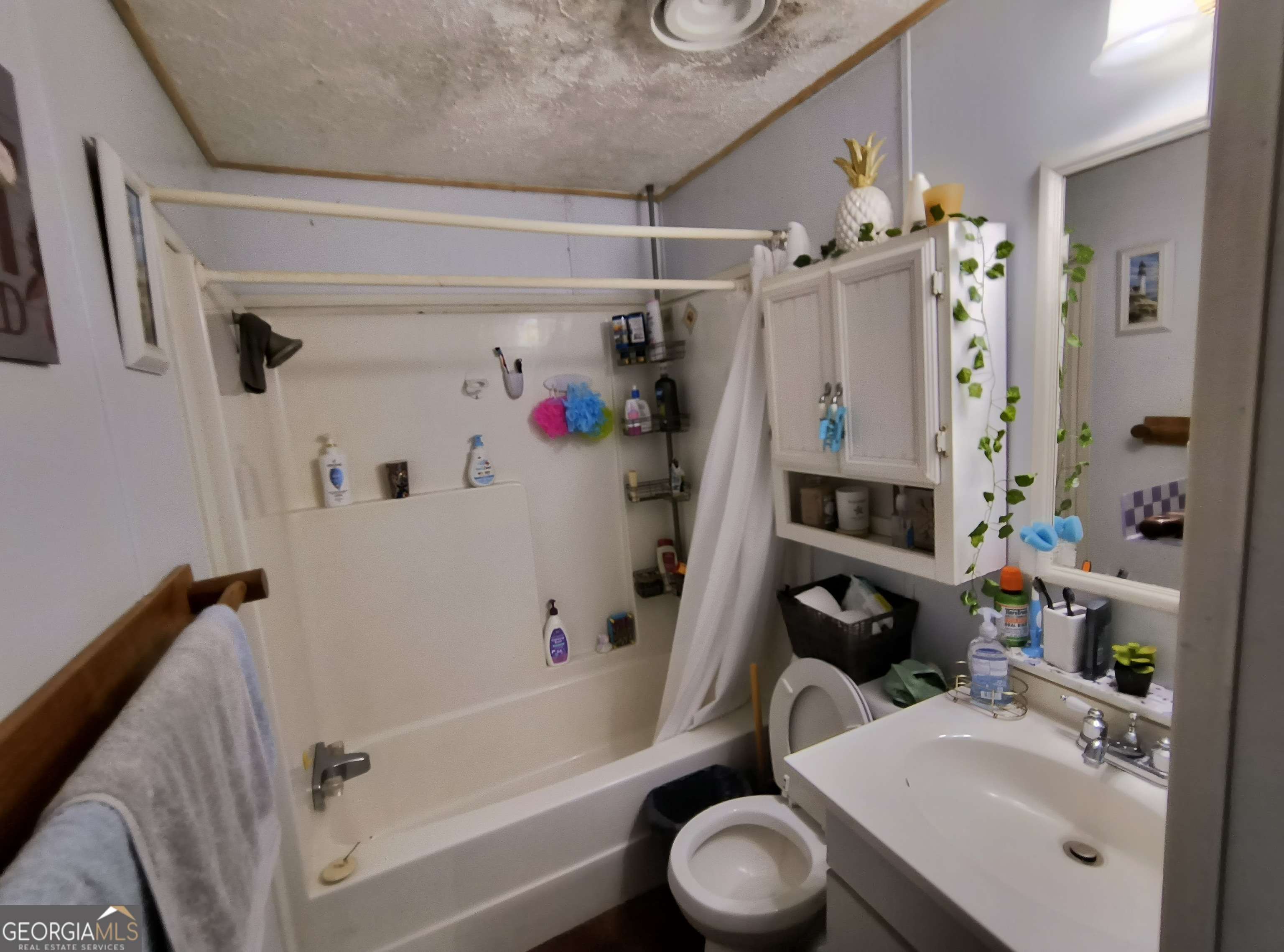 Ellijay, GA 30540,103 Banjo WAY #38