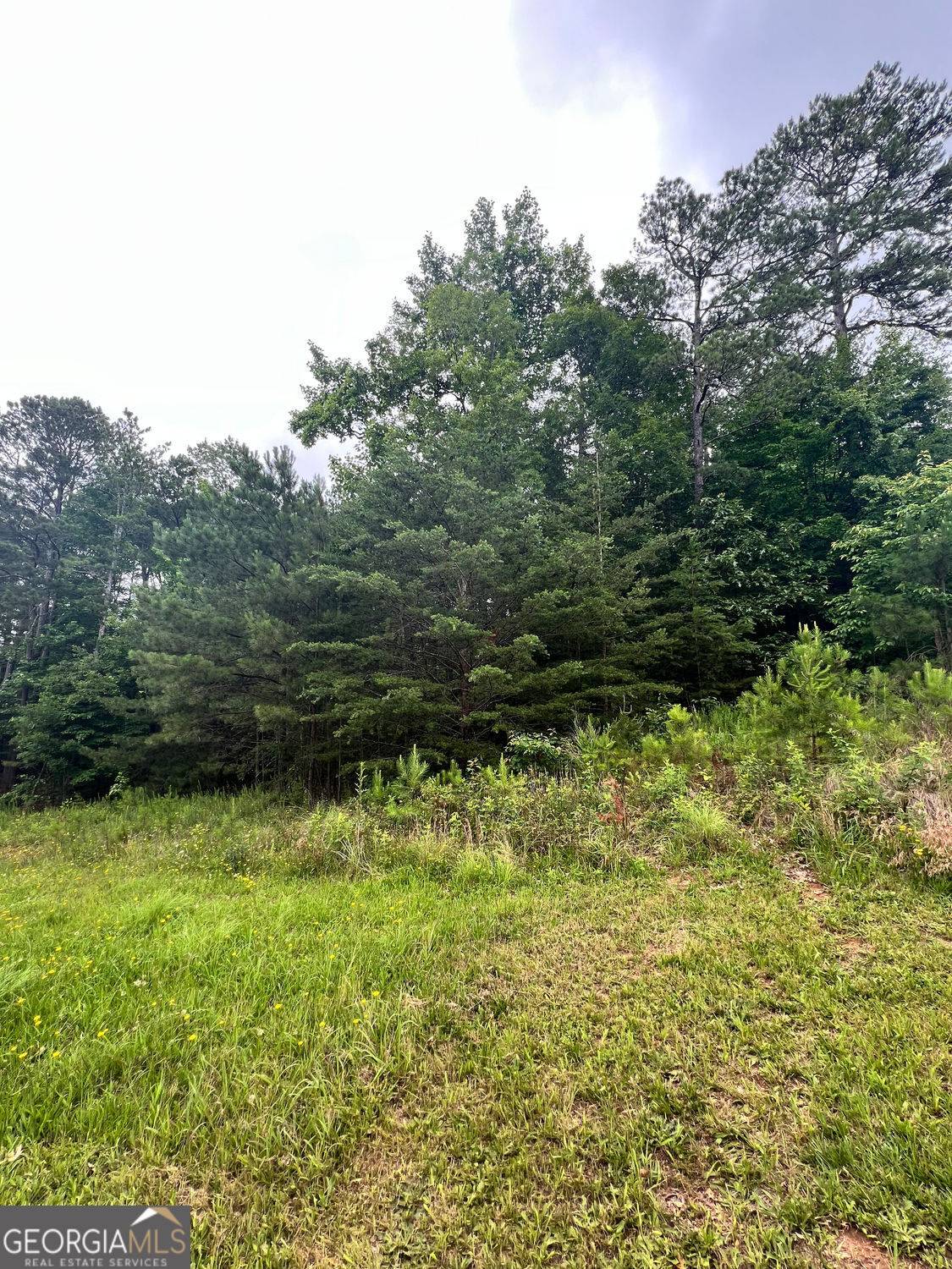 14 Lake CT, White, GA 30184
