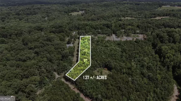 Clarkesville, GA 30523,2085 Buckhorn