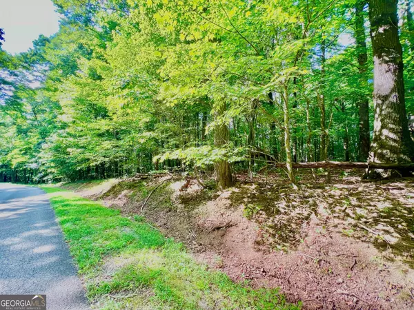 Ellijay, GA 30536,186 St Andrews WAY