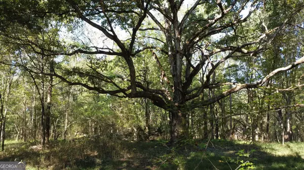 Cleveland, GA 30528,0 Holiness Campground RD