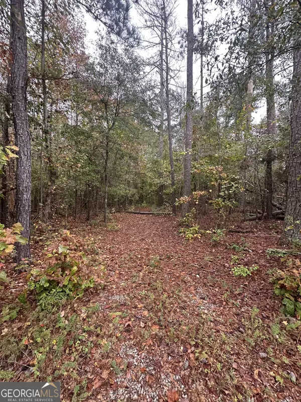 Locust Grove, GA 30248,0 South Bethany