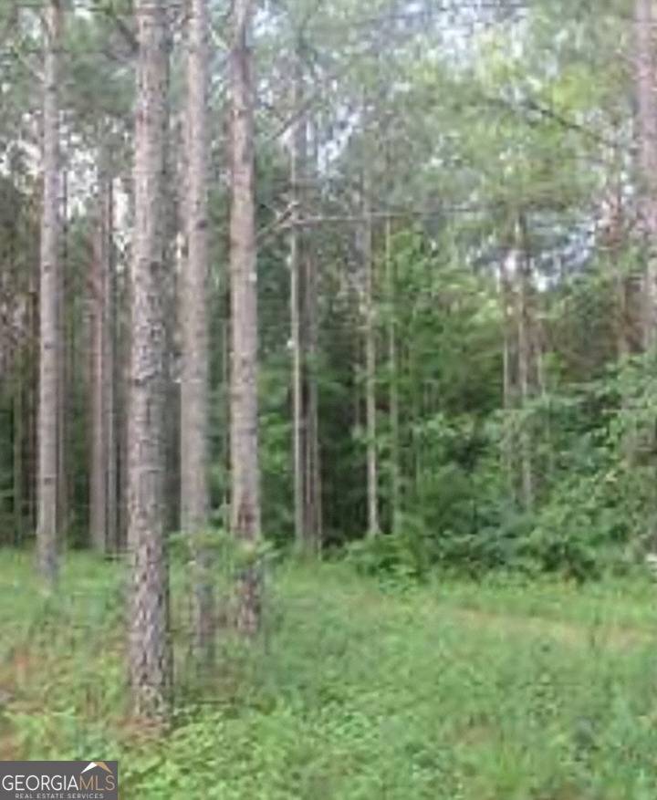 Roberta, GA 31078,00 Howard RD