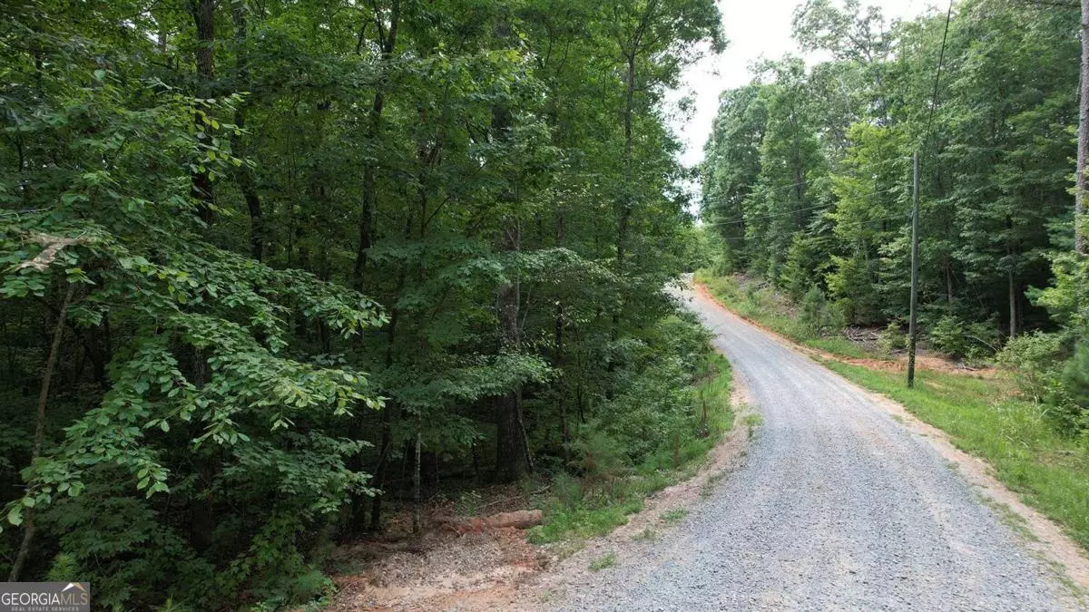 Ellijay, GA 30540,LOT #159 Jumper DR