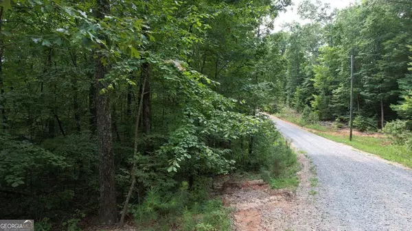 Ellijay, GA 30540,LOT #159 Jumper DR