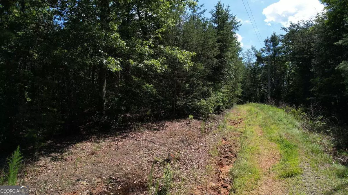 Ellijay, GA 30540,0 Flagpole CIR