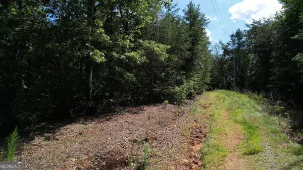 0 Flagpole CIR, Ellijay, GA 30540