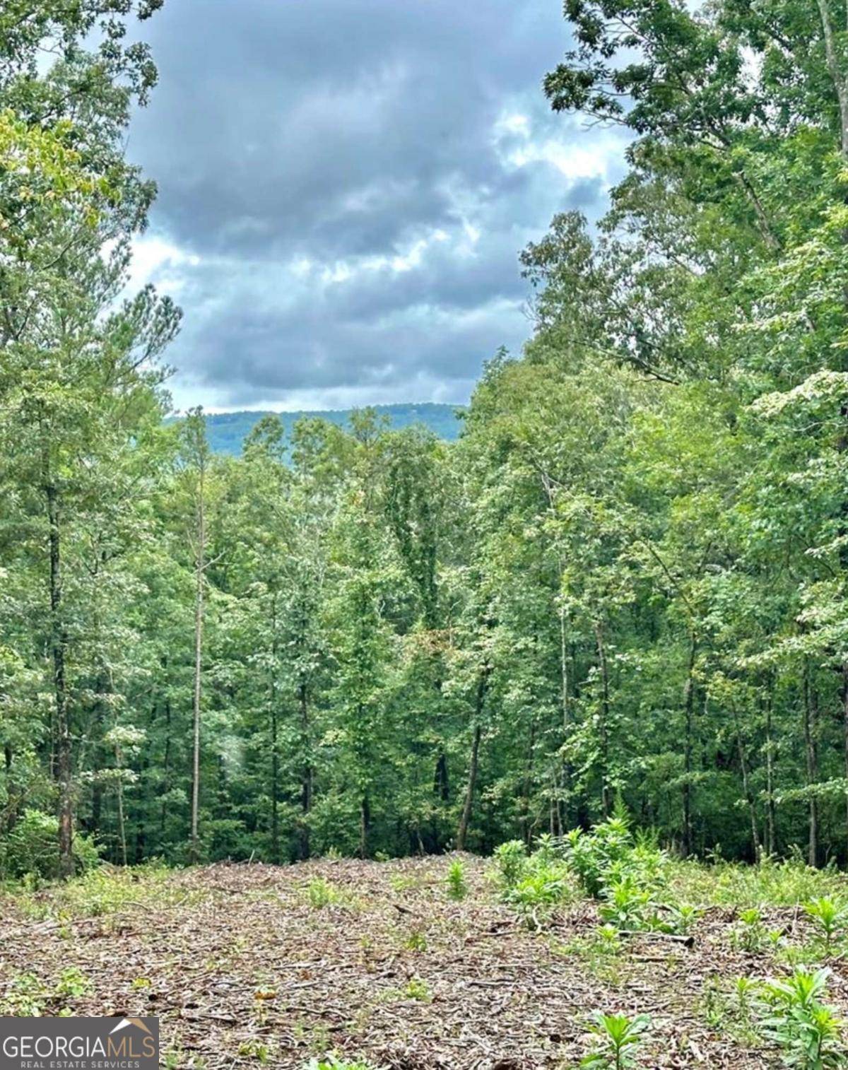 Talking Rock, GA 30175,LOT 315 Pebble TRCE #315