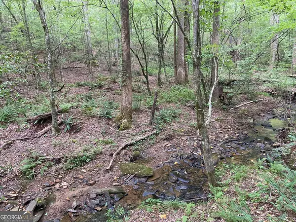 Jasper, GA 30143,LOT 36 Hampton Farms TRL