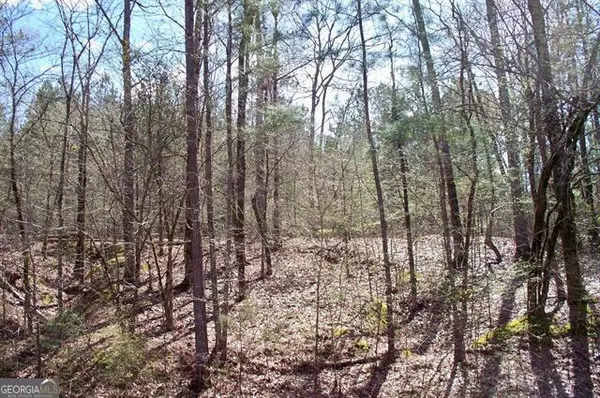 Greensboro, GA 30642,1290 Northwoods DR