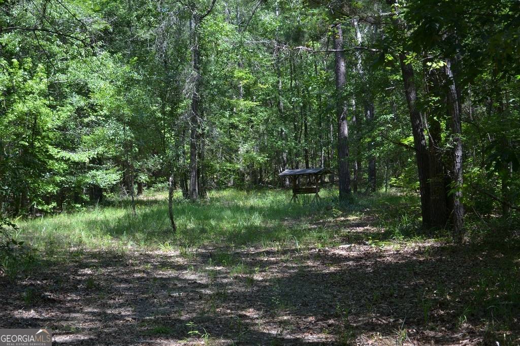 Dry Branch, GA 31020,0 Marion-Ripley RD