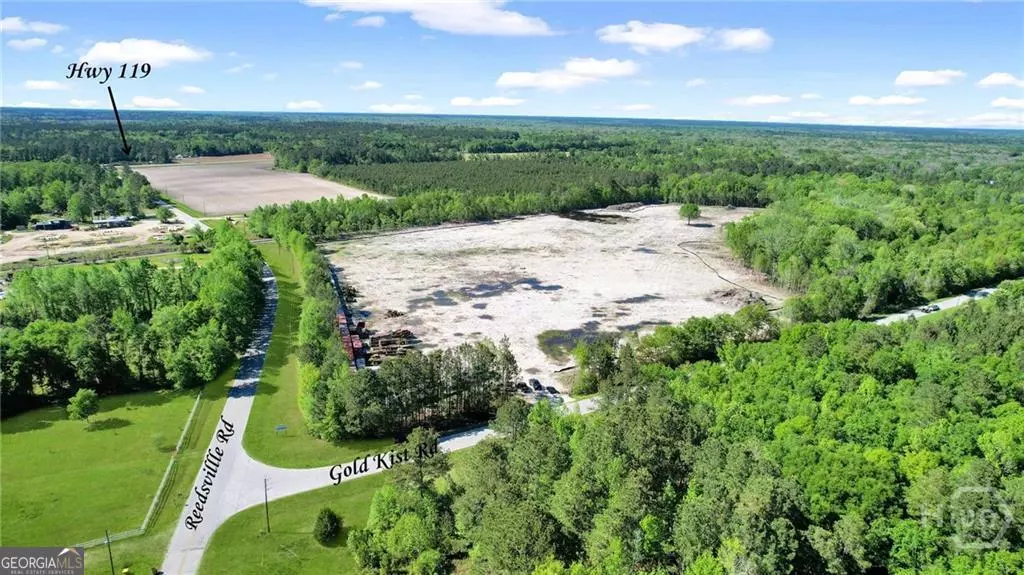Clyo, GA 31303,1382 Reedsville RD