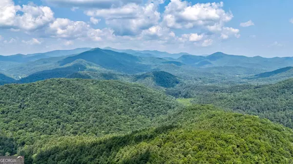 Hiawassee, GA 30546,7320 Chestnut Valley RD