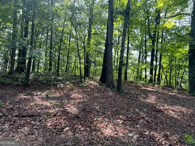 Talking Rock, GA 30175,TR10 - 4.64 ACR Wendy Hill RD