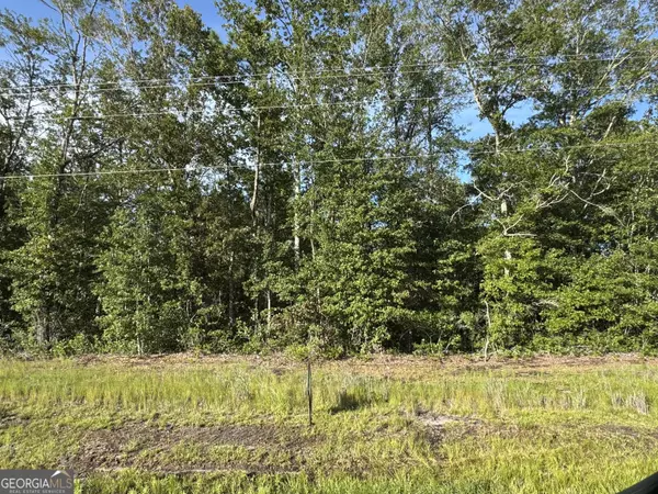 Springfield, GA 31329,0 Highway 21 North
