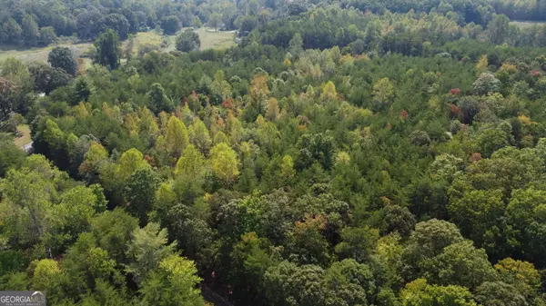 Cleveland, GA 30528,0 Twin Lakes RD