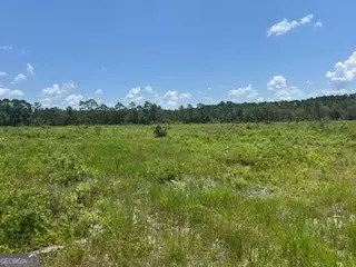 Claxton, GA 30417,87.21 AC Bay Branch Church RD