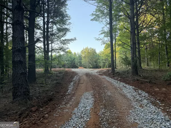 The Rock, GA 30285,LOT 8 Mud Bridge RD