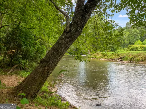 Ellijay, GA 30540,LOT 17 Misty Mountain TRL