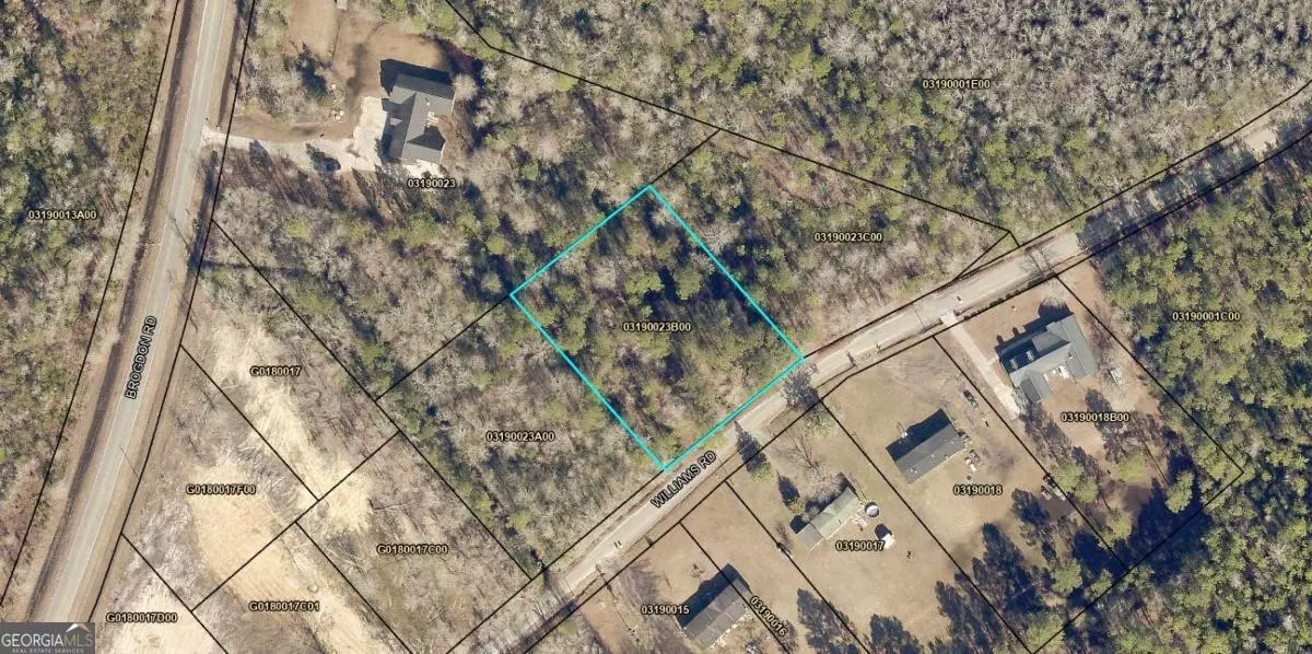 0 Williams Street Tract 2, Guyton, GA 31312