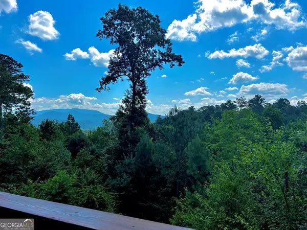 Ellijay, GA 30540,190 Summit View LN