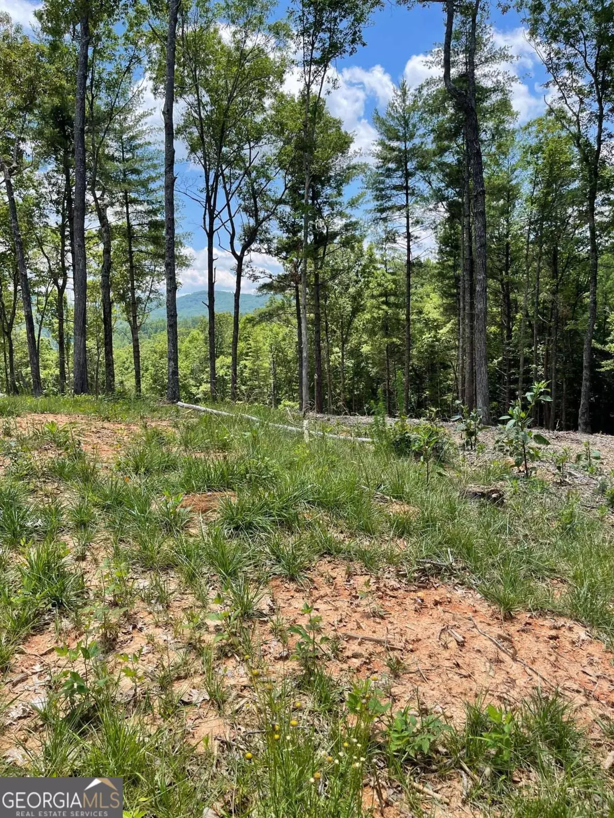 Morganton, GA 30560,LOT 95 The Ridges