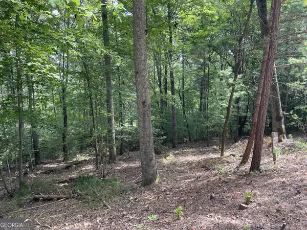 Blairsville, GA 30512,LOT13 Sour Apple LN #13