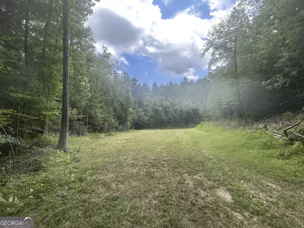 Ellijay, GA 30540,0 Boardtown RD