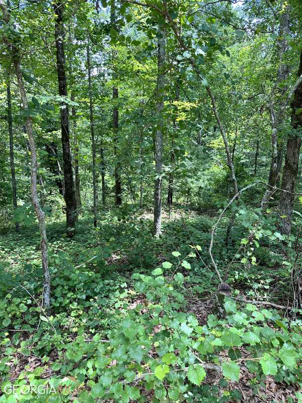 LT1719 Rebekah Ridge RD, Talking Rock, GA 30175