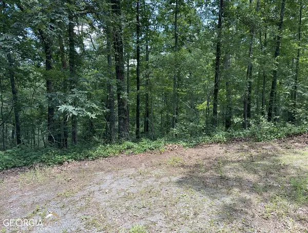 Talking Rock, GA 30175,LT1719 Rebekah Ridge RD
