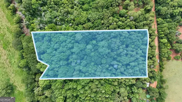 Carnesville, GA 30521,LOT #1 Morris TRL