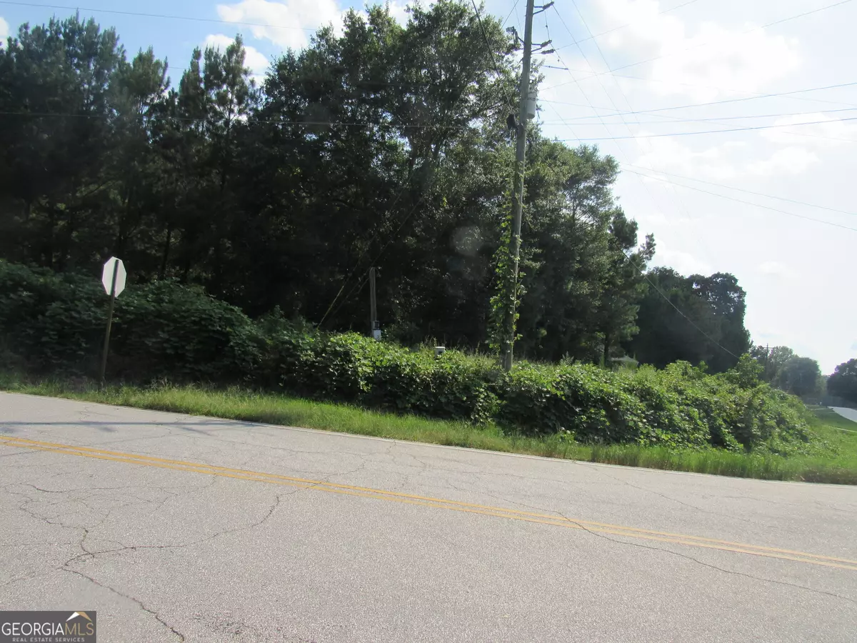 Carnesville, GA 30521,0 Stone Bridge RD