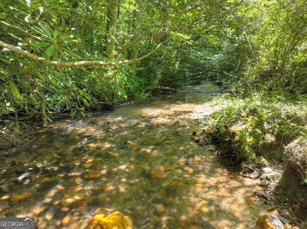 Epworth, GA 30541,3760 Devils Den RD