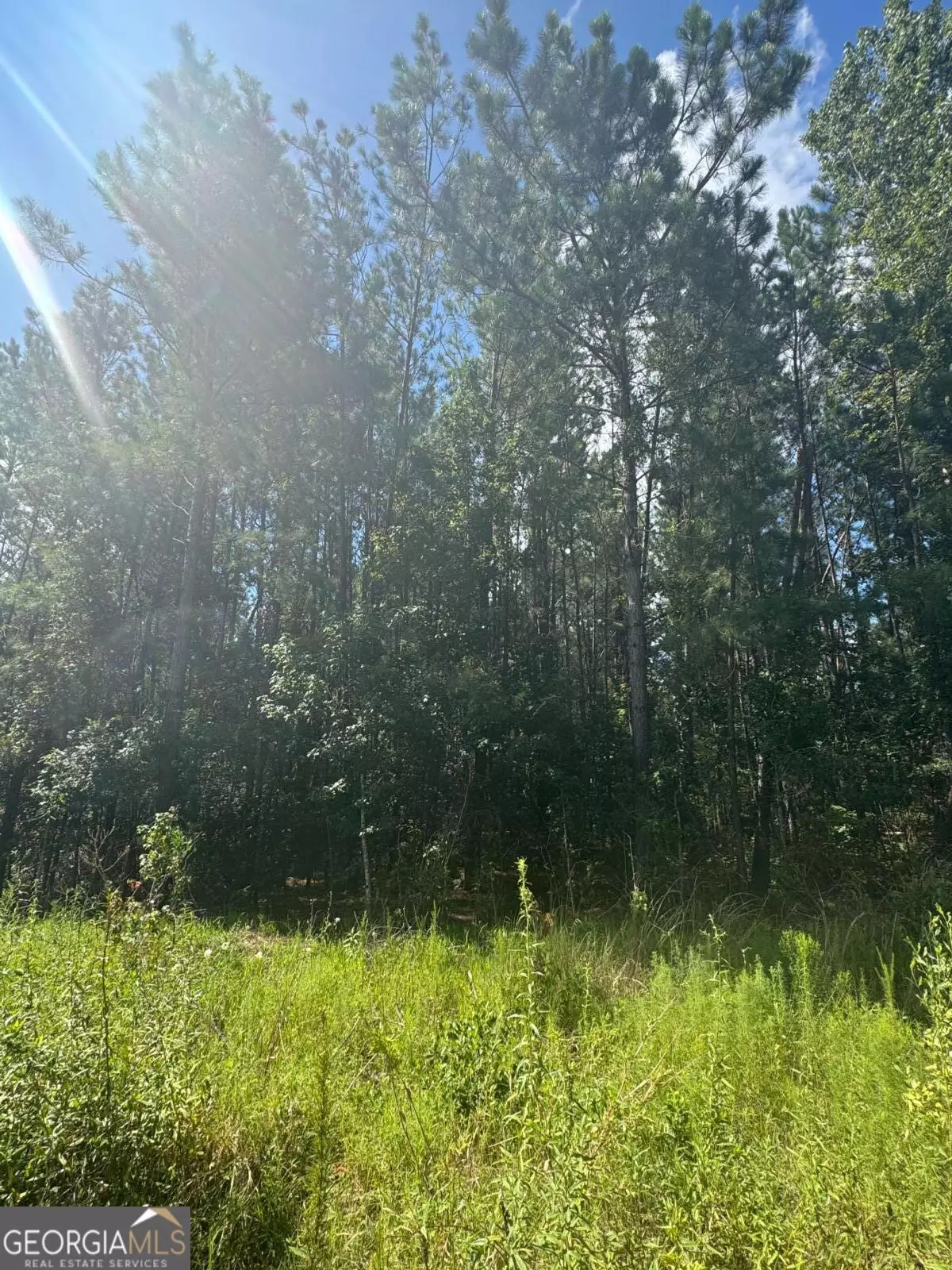 Baxley, GA 31513,0 Dubberly RD