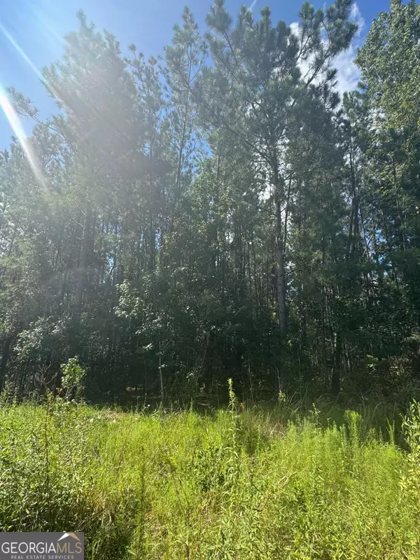 0 Dubberly RD, Baxley, GA 31513
