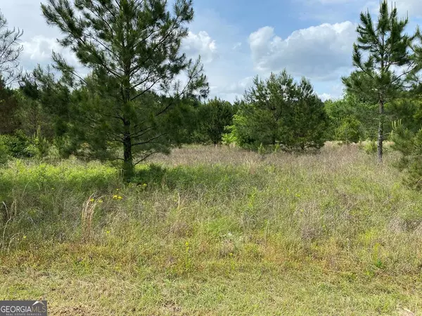 Dublin, GA 31021,998 Holliday RD