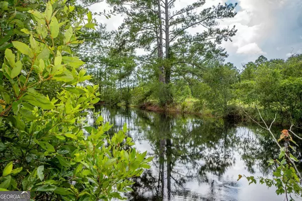 Nahunta, GA 31553,16192 Raybon RD E