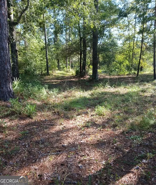 Waverly, GA 31565,3027 Incachee RD