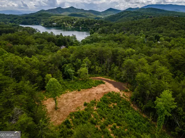 Turtletown, TN 37391,398 Beaver Cove RD