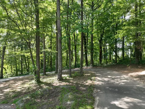 Ellijay, GA 30536,32 Highline DR