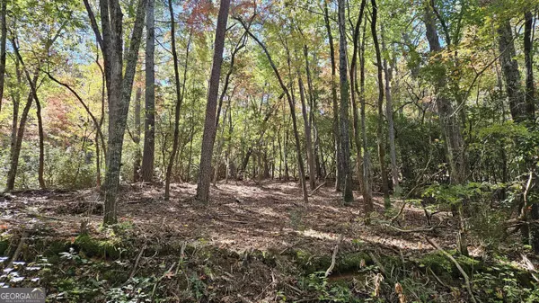 Dahlonega, GA 30533,T S JARRARD RD