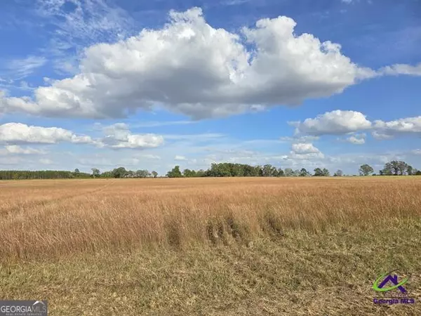 Cochran, GA 31014,16 Hay Field RD